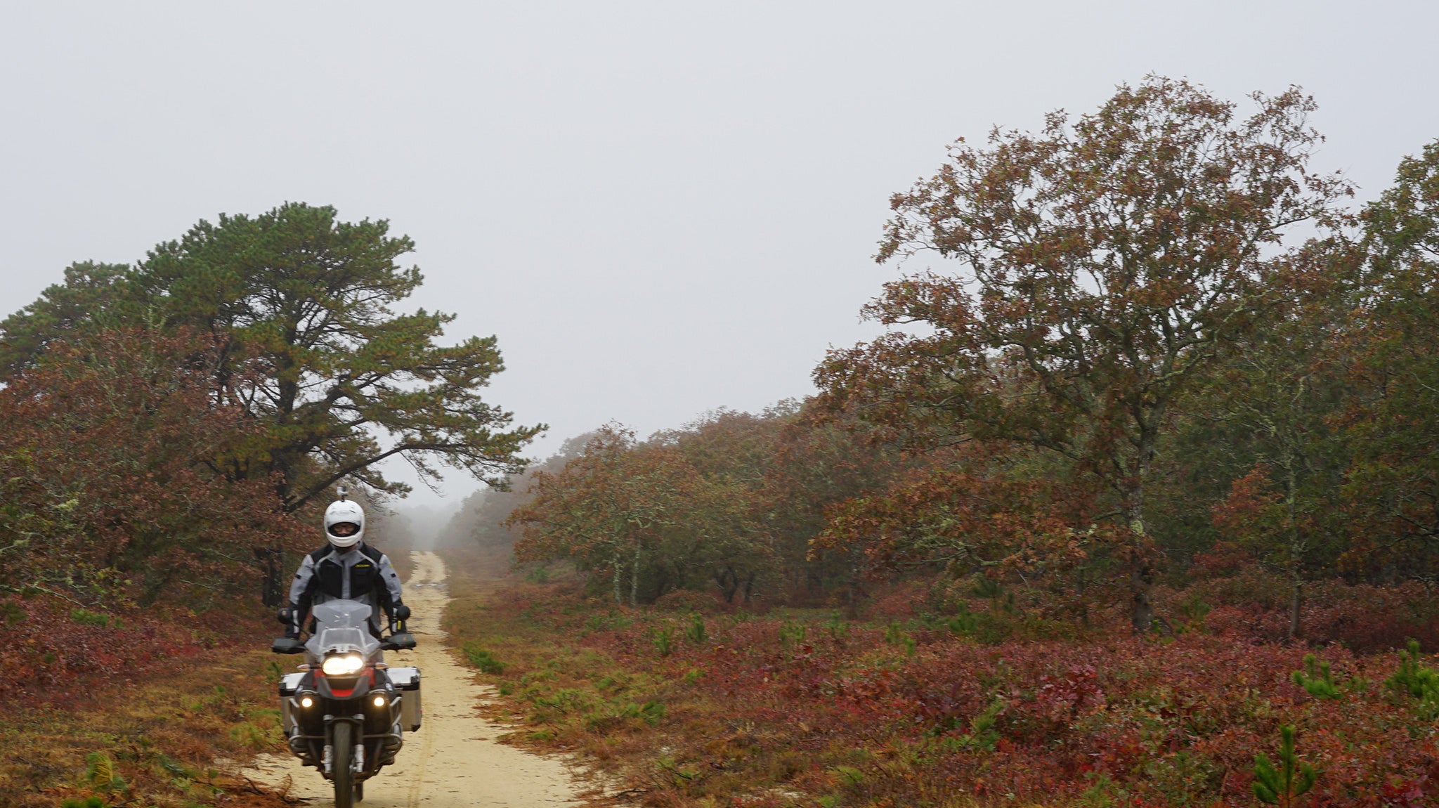 The Insider's Guide to Martha's Vineyard, The Off-Season Edition