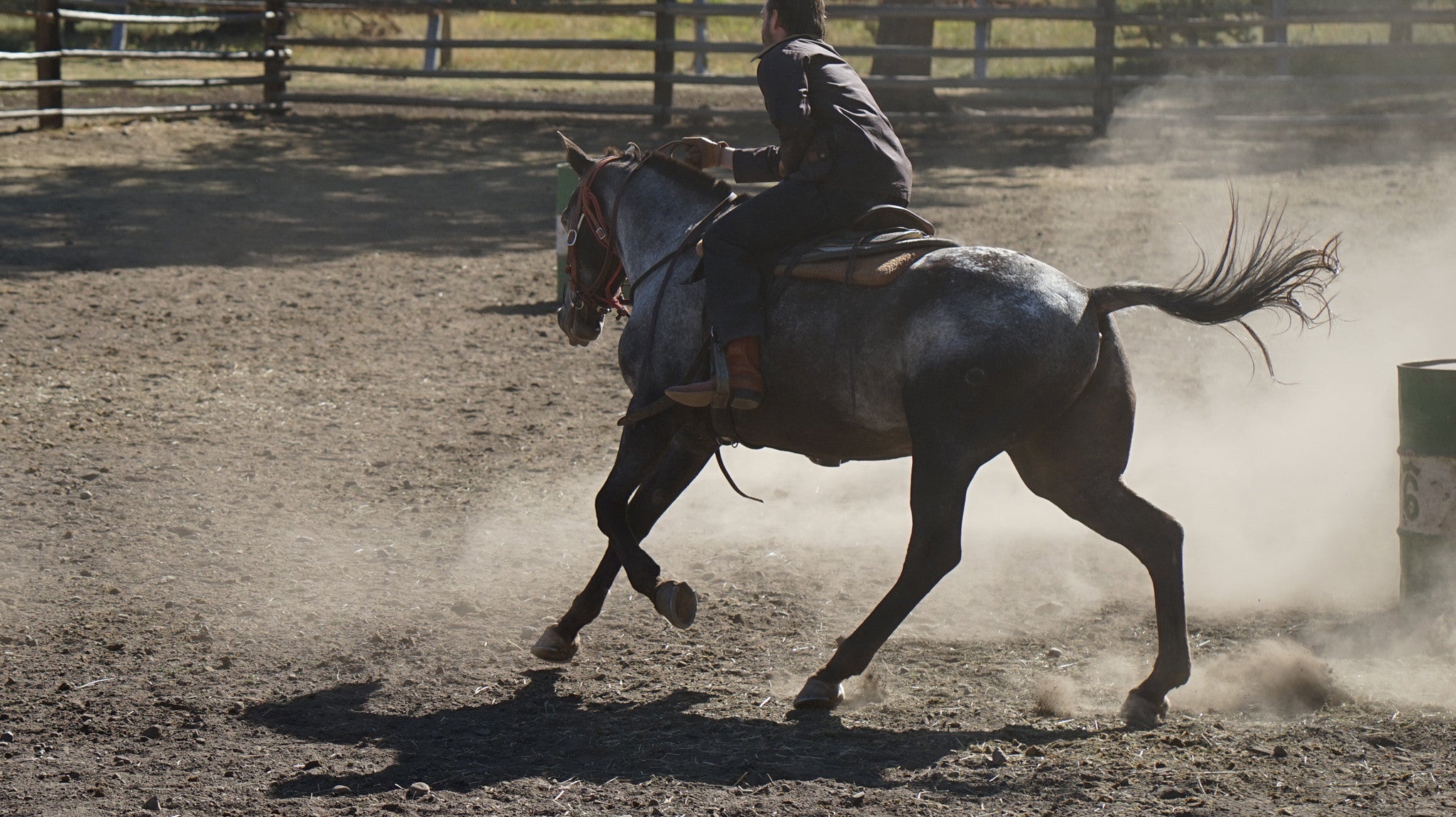 Our Visit to Nine Quarter Circle Ranch