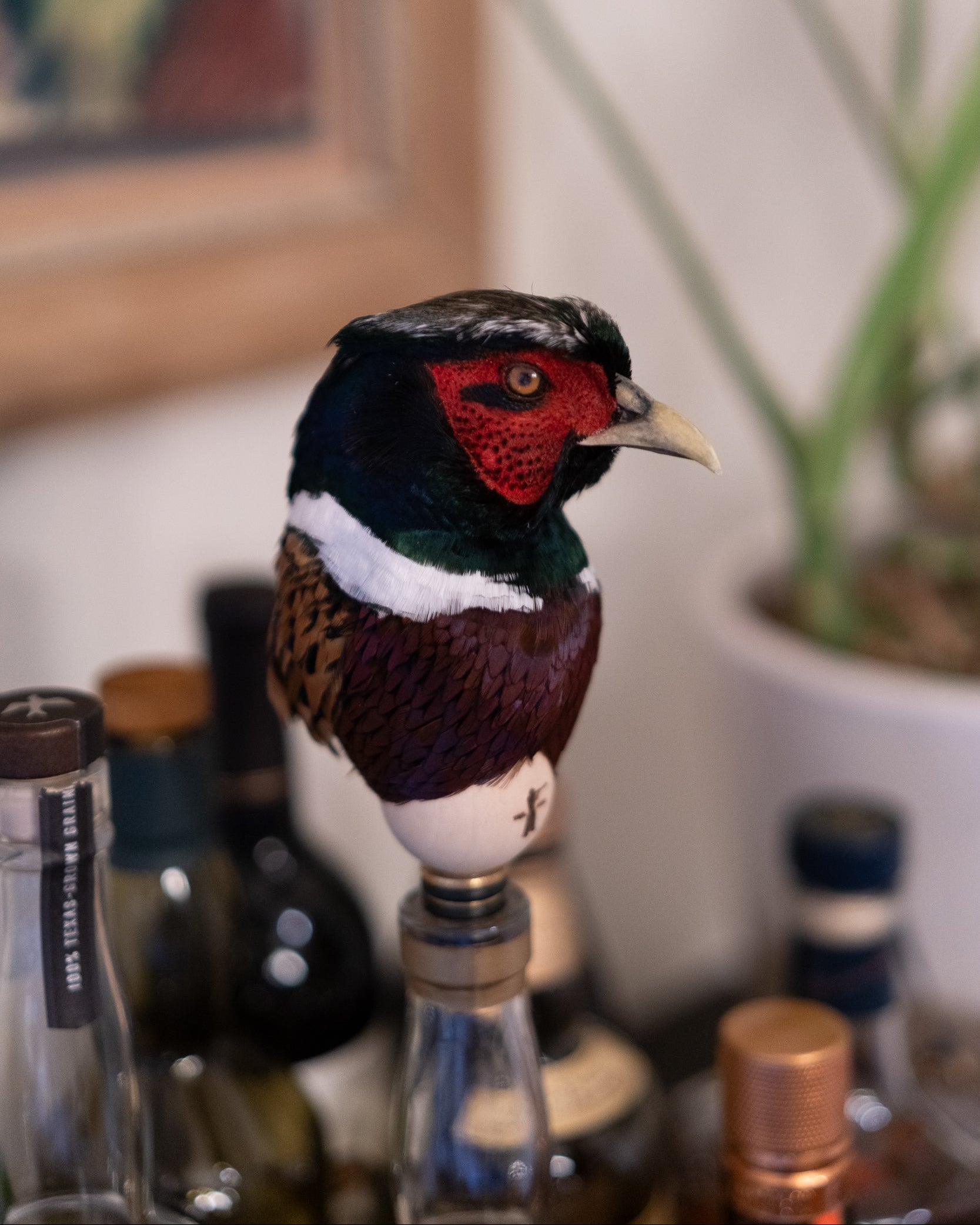 Decorative pheasant head on a bottle with a blurred indoor background