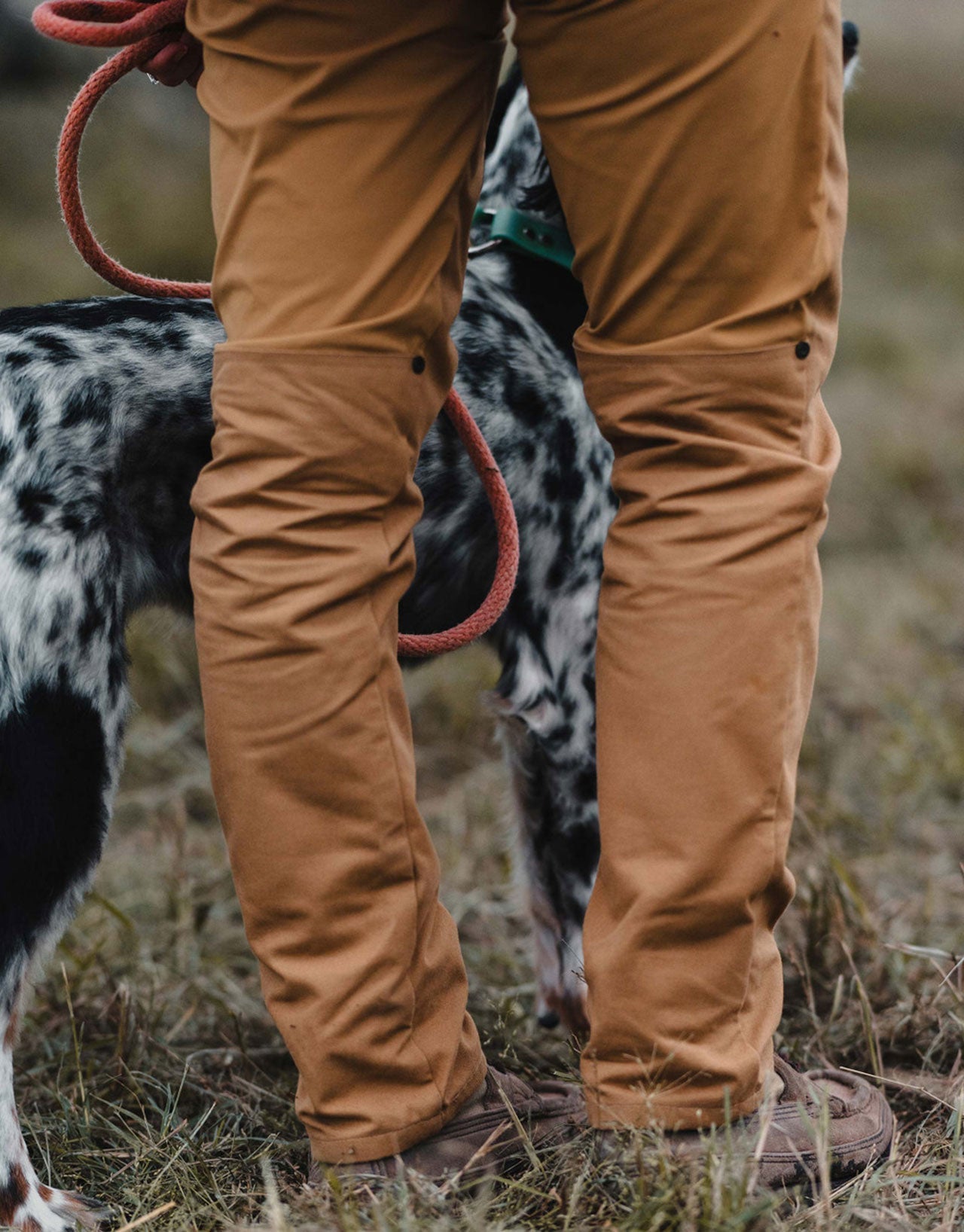 Women's Pants