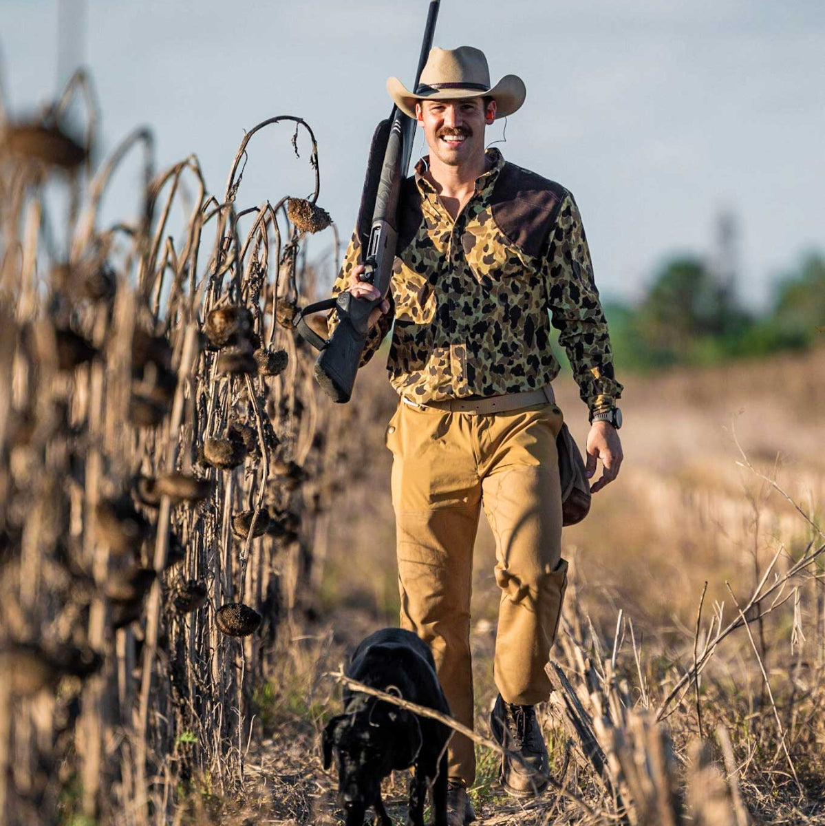 Dove hunt