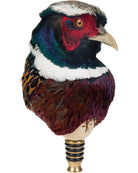 Colorful pheasant head taxidermy on a white background
