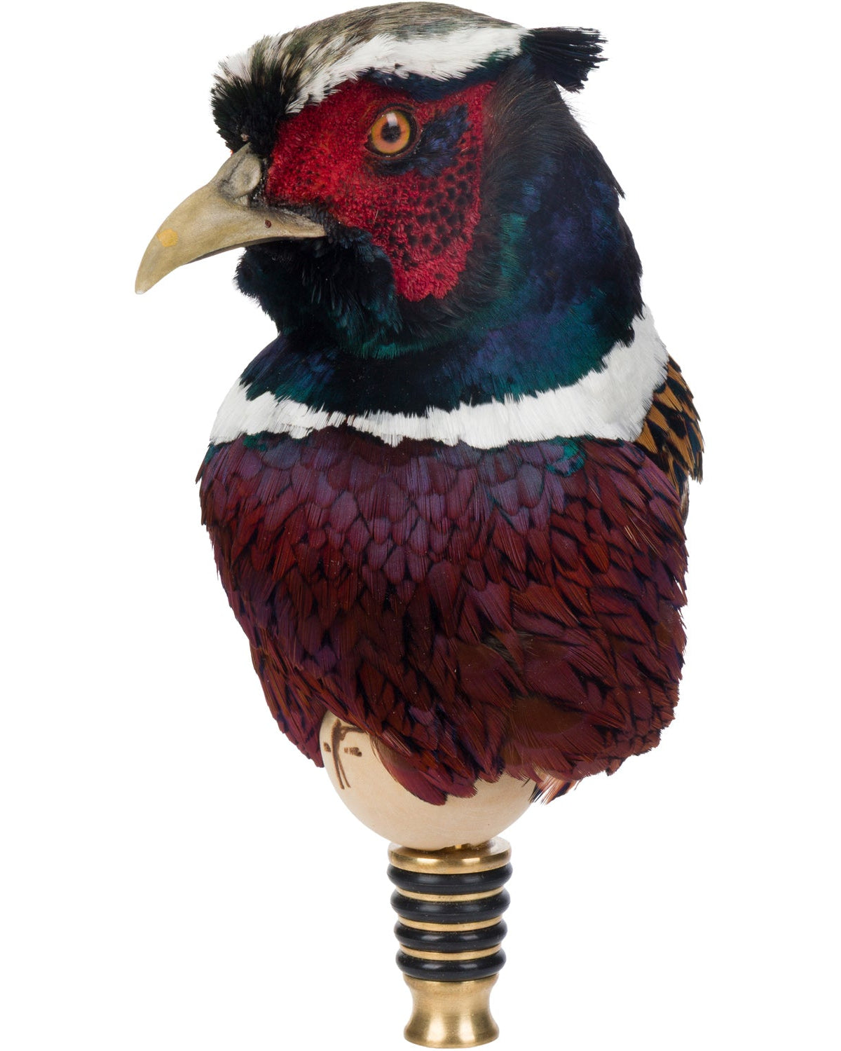 Decorative pheasant bird on a white background
