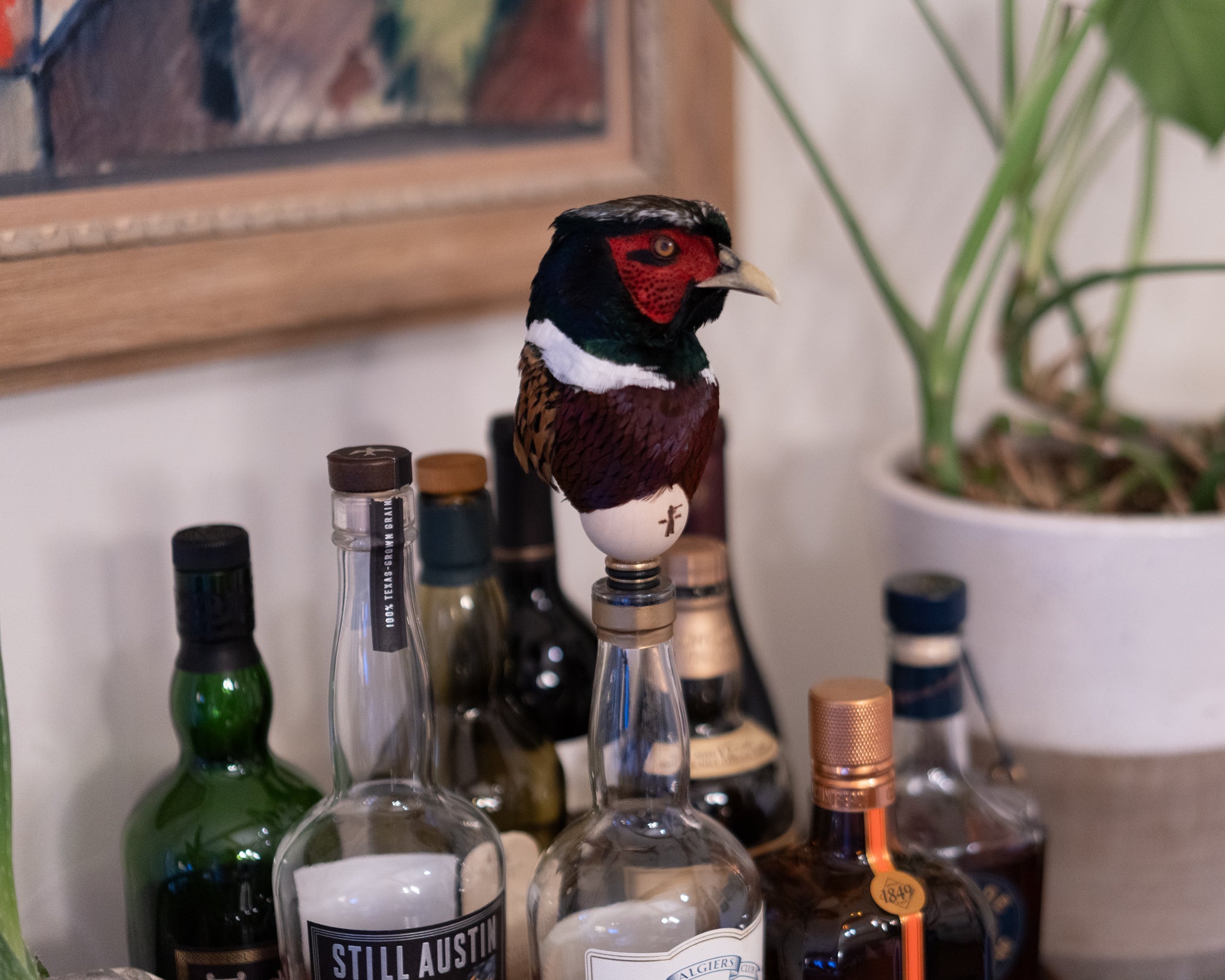 Collection of bottles with a decorative bird on top, next to a potted plant.